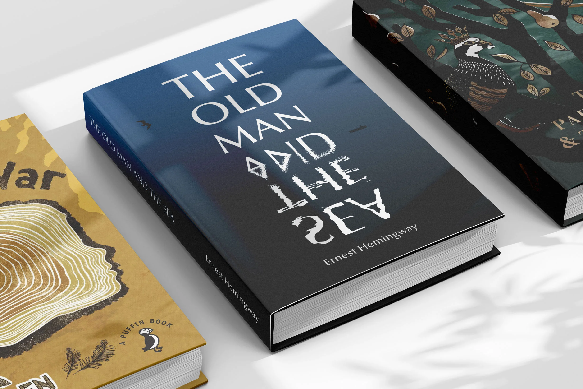 Book cover illustration service by freelance illustrator Kati Lacey Book cover illustration service by freelance illustrator Kati Lacey
