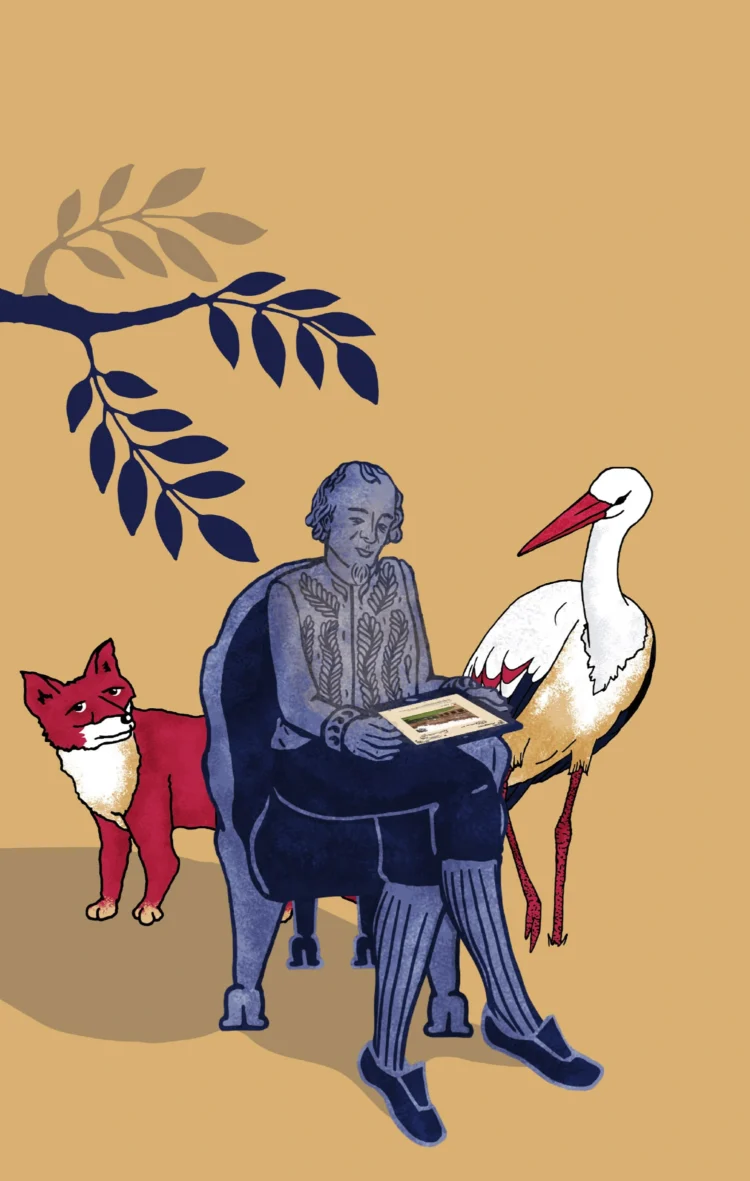 Brand illustrations for the National Trust Myth and Mythmaking interpretation board by Kati Lacey brand illustrator