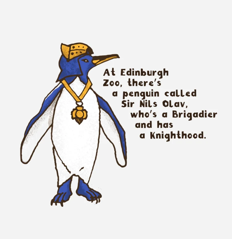 Illustrated infographic Visit Scotland fact01 by Kati Lacey freelance illustrator