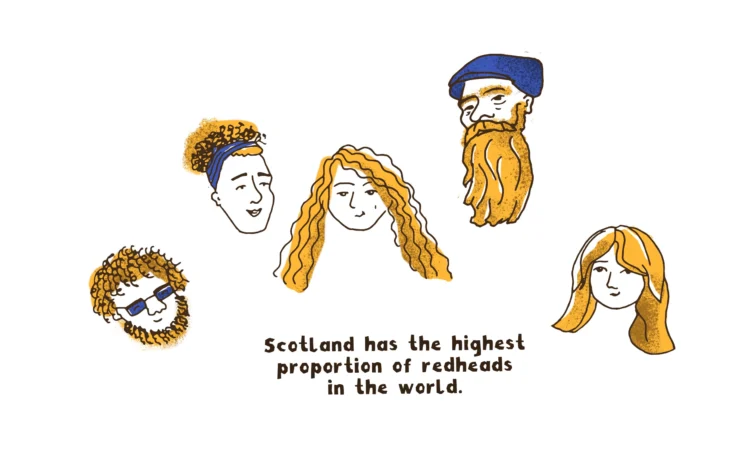 Illustrated infographic Visit Scotland fact04 by Kati Lacey freelance illustrator
