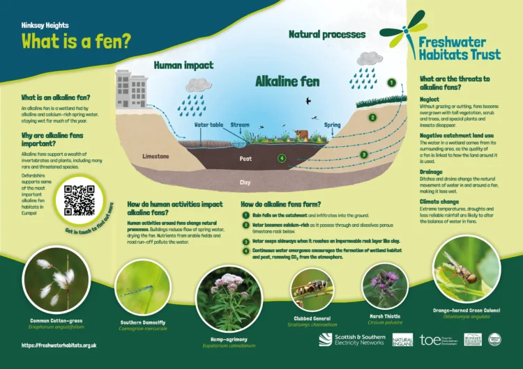 Illustrated interpretation board for cultural heritage site