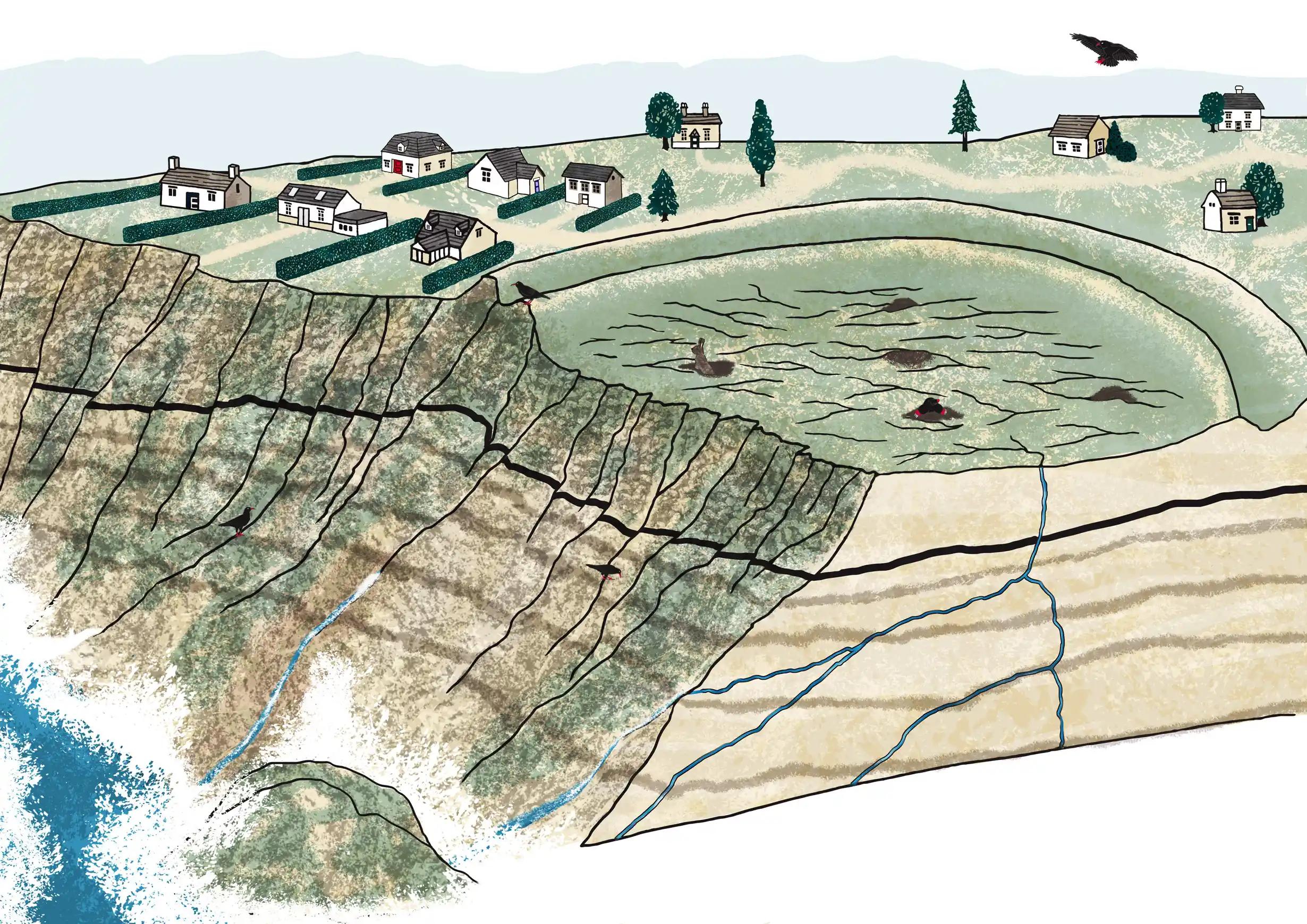 Non fiction educational landside diagram illustration by Kati Lacey freelance illustrator Non fiction educational landside diagram illustration by Kati Lacey freelance illustrator