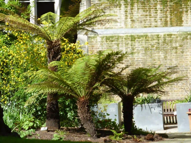 Postmans Park trees