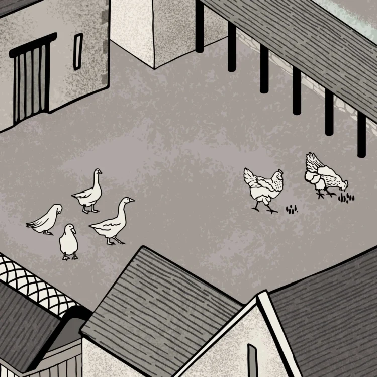 Site map illustration detail of geese and ducks for Kelmscott Manor summer residence of William Morris by Kati Lacey