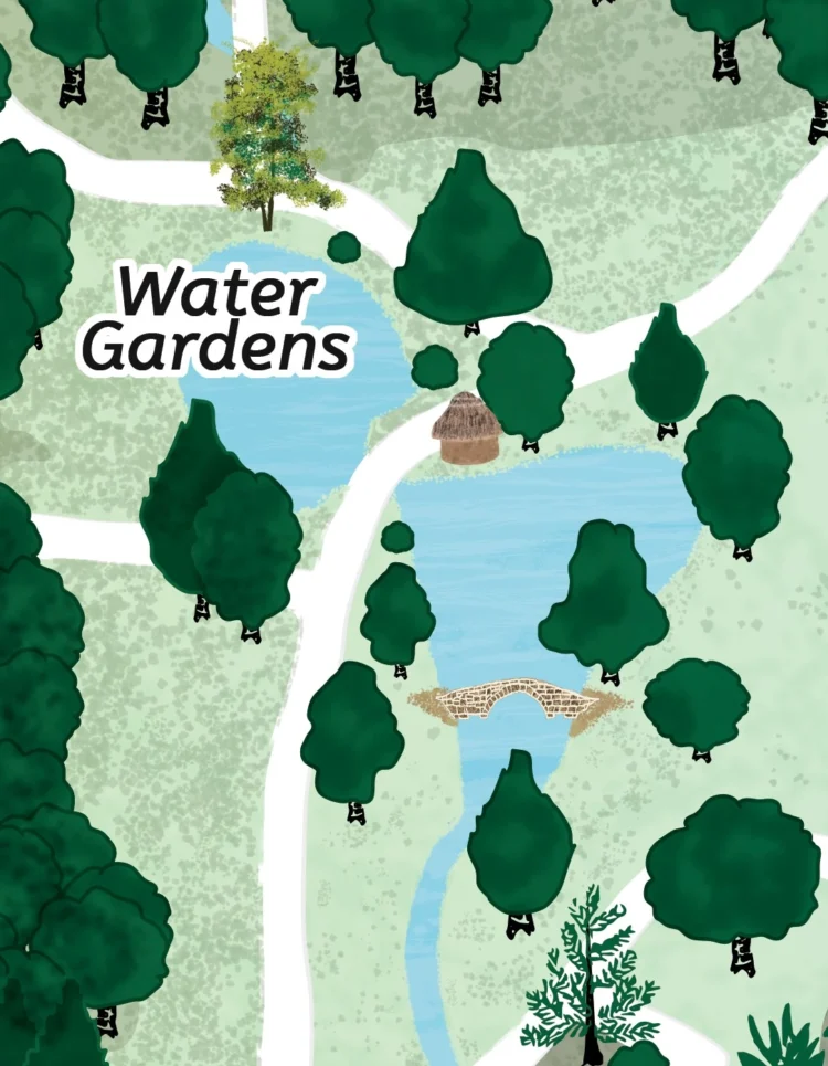 Specific features and specimens at Ness Gardens illustration by Kati Lacey freelance illustrator