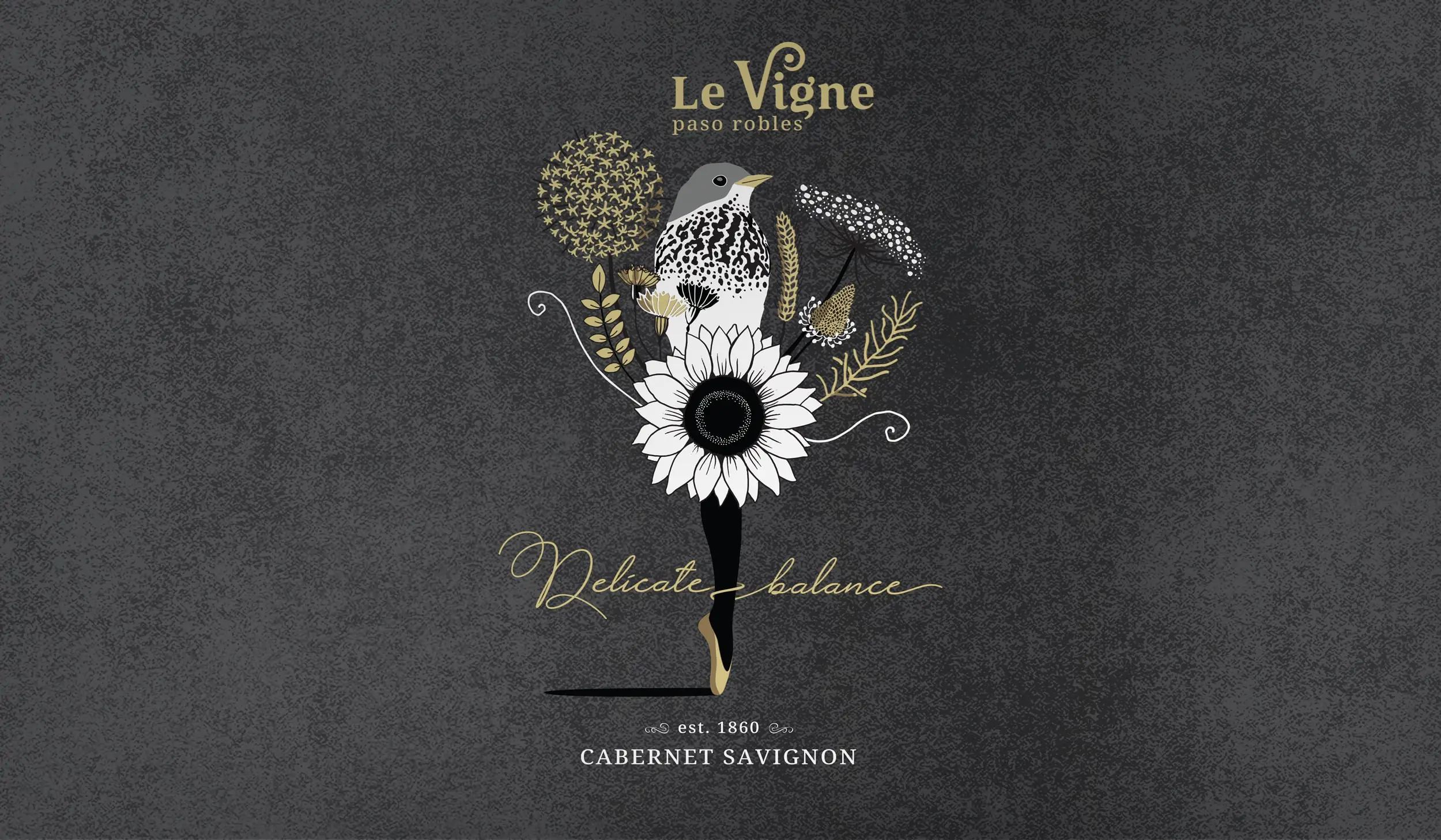 wine label design with illustration by kati lacey freelance packaging designer